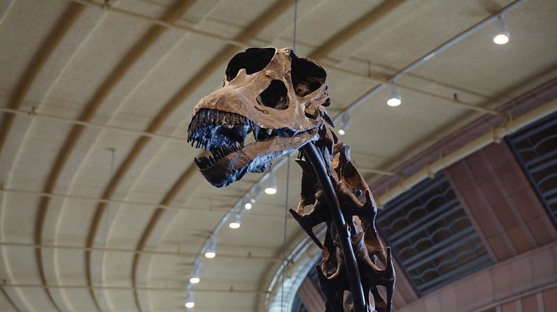 Prehistoric Era